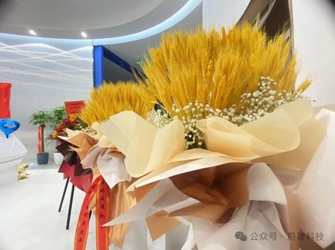 蔚建科技乔迁新址